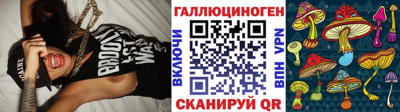 где можно купить наркотик  Черемхово  Псилоцибиновые грибы Psilocybine cubensis 